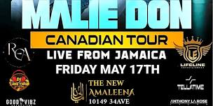 MALIE DONN LIVE IN EDMONTON