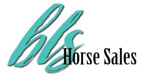 BLS Horse Sale