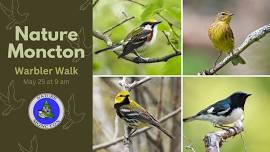 Nature Moncton May Warbler Walk