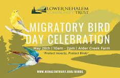 Migratory Bird Day Celebration! — Audubon Society of Lincoln City