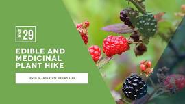 Edible and Medicinal Plant Hike