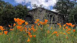 Feather River Nature Center: Nature Frames and Portraits