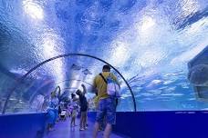 Kemer Aquarium in Antalya: Europe’s Longest Underwater Tunnel & Wax Museum Tour