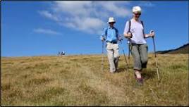 Hereweka Hike — Wild Dunedin