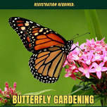 Butterfly Gardening