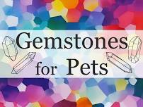 Gemstones For Pets w/ Jennafer Martin