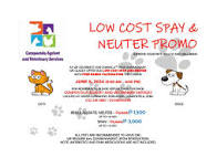 Low cost spay and neuter promo and free rabies vaccination