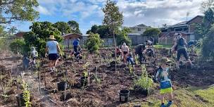 Community tree planting event - Booral