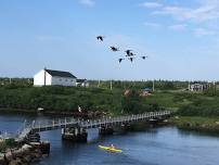 Larry's River Plein Air Painting Day