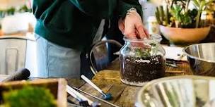 Terrariums for Teens!