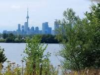 Tommy Thompson Park Kayak Tour