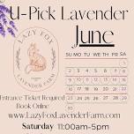 Pick Your Own Lavender