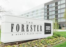 Indulge in The Forester Hotel's New In-Suite Culinary Experience Package