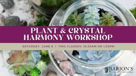 Plant & Crystal Harmony Workshop