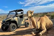 Las Vegas Guided UTV Safari and Zoo Tour