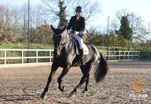 BD & Unaffiliated Dressage at Suffolk Rural