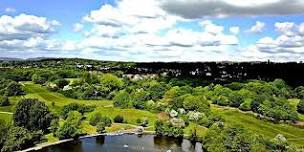 Wild Earlswood Nature Walk 5 and social gathering