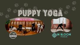 Paws & Poses - Puppy Yoga