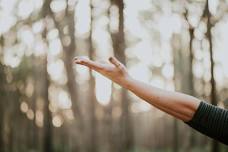 Yoga in the Park!