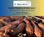 Nebo Prime & Store Sale