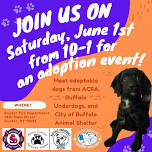 Snyder Fire Department Adoption Event