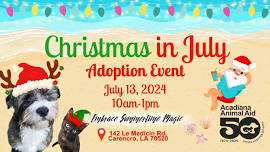 Christmas in July: Adoption Event