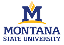 Montana State University to host Student Research Celebration on April 25