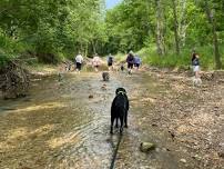 THURSDAY CREEK WALK at CASTLEWOOD