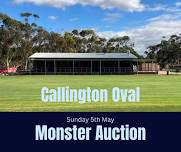 Callington Show Monster Auction