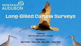 Long-billed Curlew Survey Training