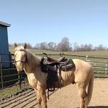 Saddle fitting Clinic