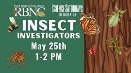 Science Saturday: Insect Investigators