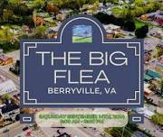 THE BIG FLEA - Berryville Main Street — Berryville Main Street