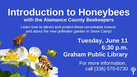 Introduction to Honeybees