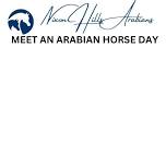 MEET AN ARABIAN HORSE DAY