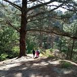 ⭐ Historic Cerro Caracol Hiking in Ecuador Park