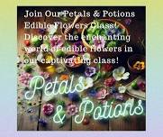 Petals & Potions: Incredible Edible Flowers 101