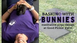 Basking with Bunnies (Yoga)