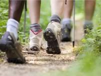 Second Sunday Nature Hike at Ridley Creek State Park