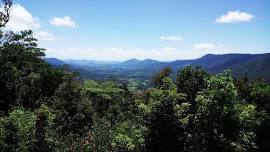 Eungella Community Markets - Land of the Clouds