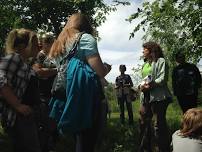 Plant Foraging Identification Walk and Wild Food Tasting w. Marguerite Uhlmann-Bower