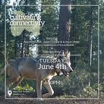 Cultivating Connectivity: Meso and Large Carnivores in the Upper Feather River Watershed