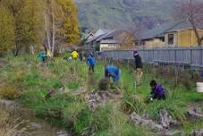 Planting at Bullock Creek Wetland