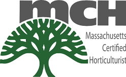 MCH Exam: August 2024