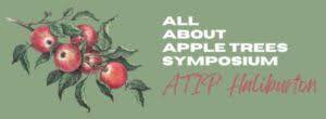 All About Apple Trees