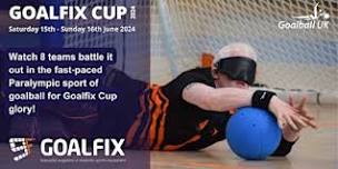 Are you interested in Goalfix Cup 2024?