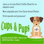 Cups & Pups Adoption Event