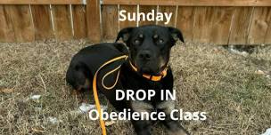 Sunday - Drop-in Obedience Class