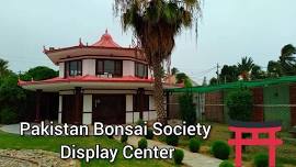 Pakistan Bonsai Society’s Monthly Workshop June, 2024