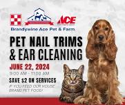 Pet Nail Trims & Ear Cleaning